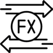 Foreign Exchange Management